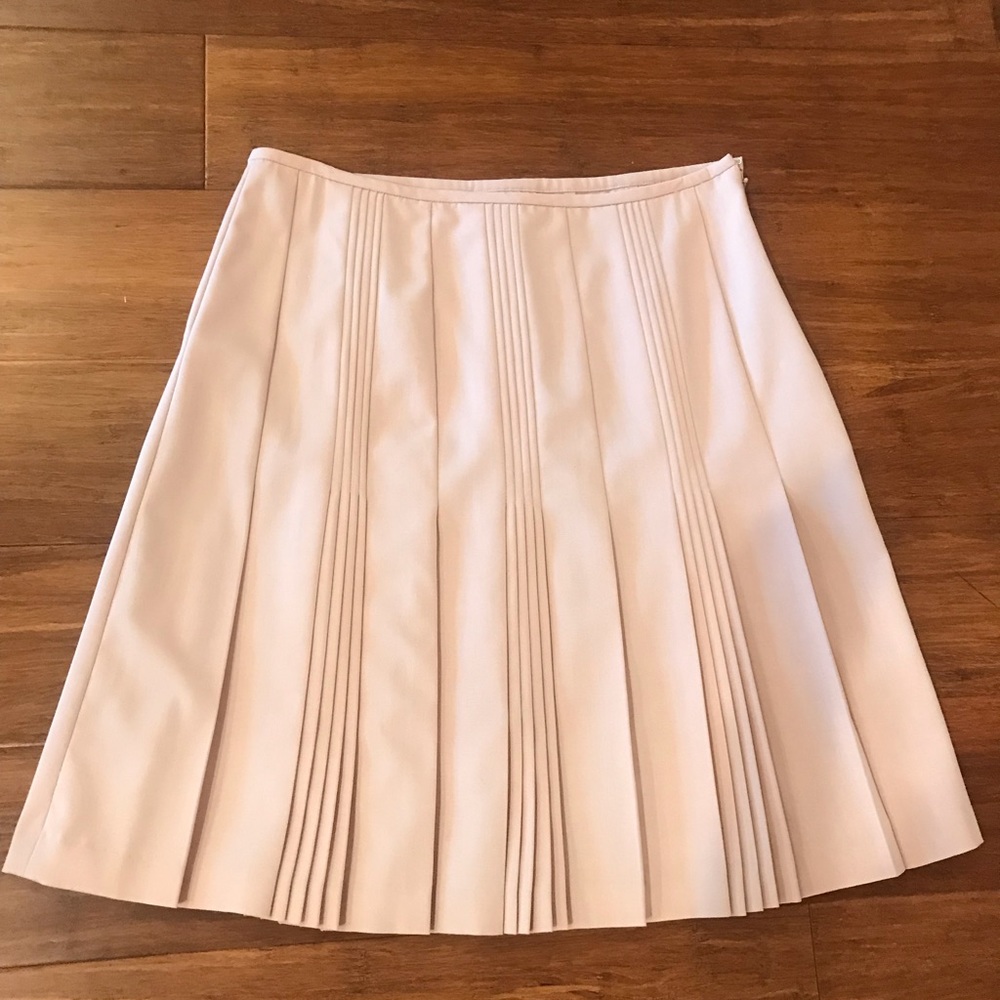 Ann Taylor skirt